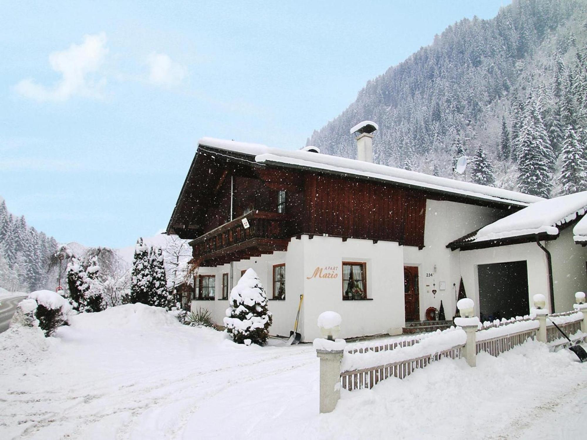 Mario, Im Paznauntal Apartment See