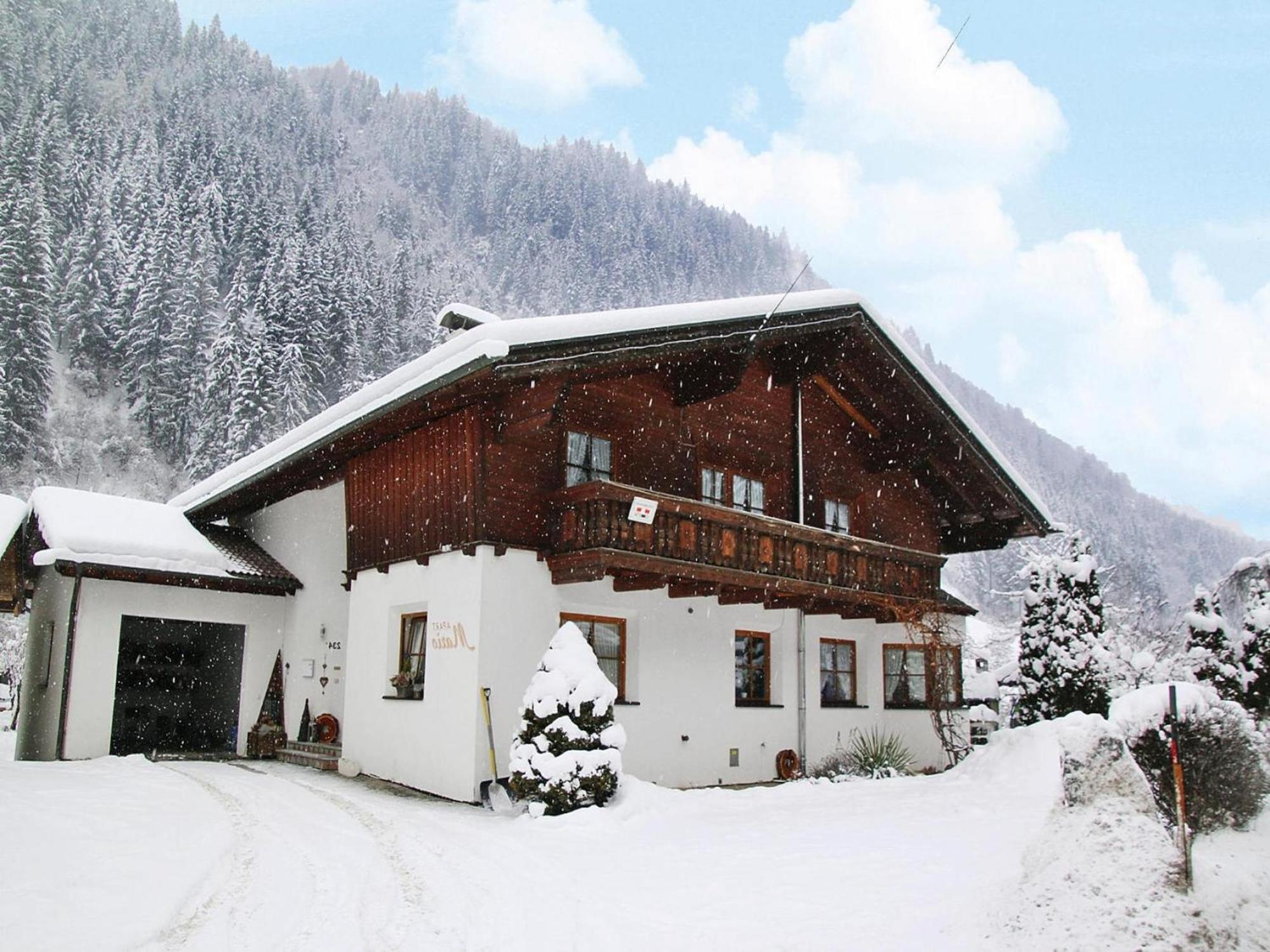 Mario, Im Paznauntal Apartment See