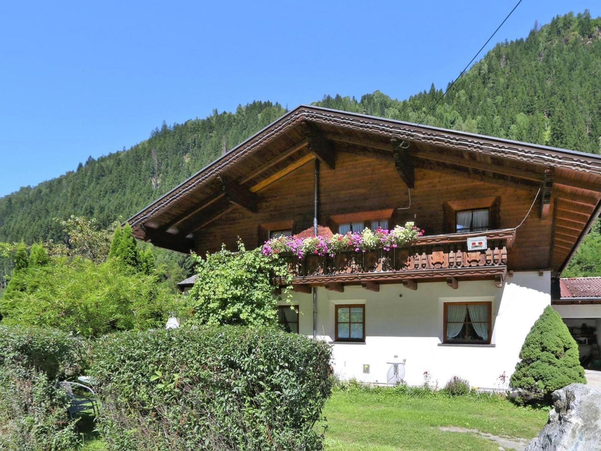 Mario, Im Paznauntal * See